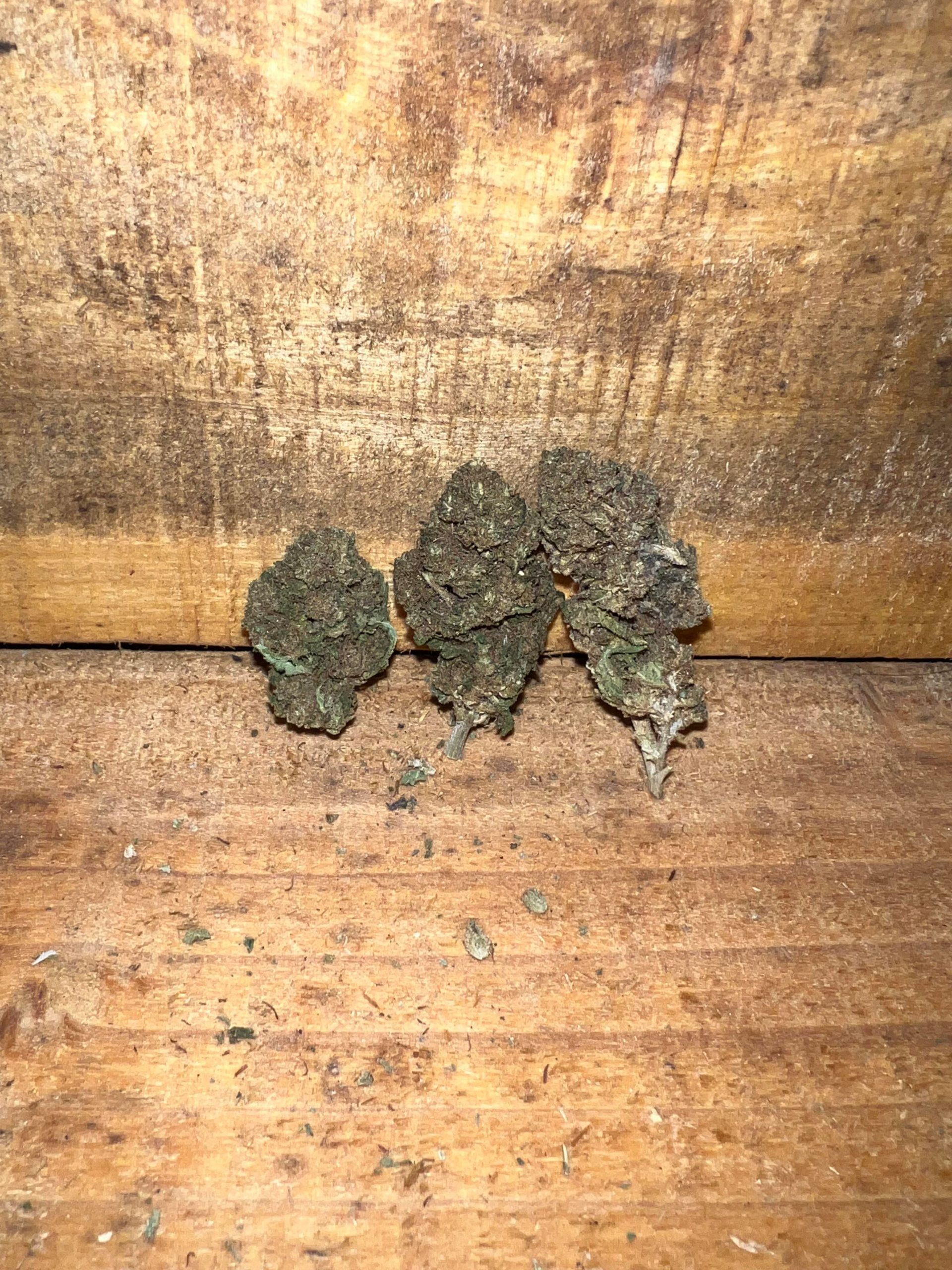 Fleurs de CBD - Legend