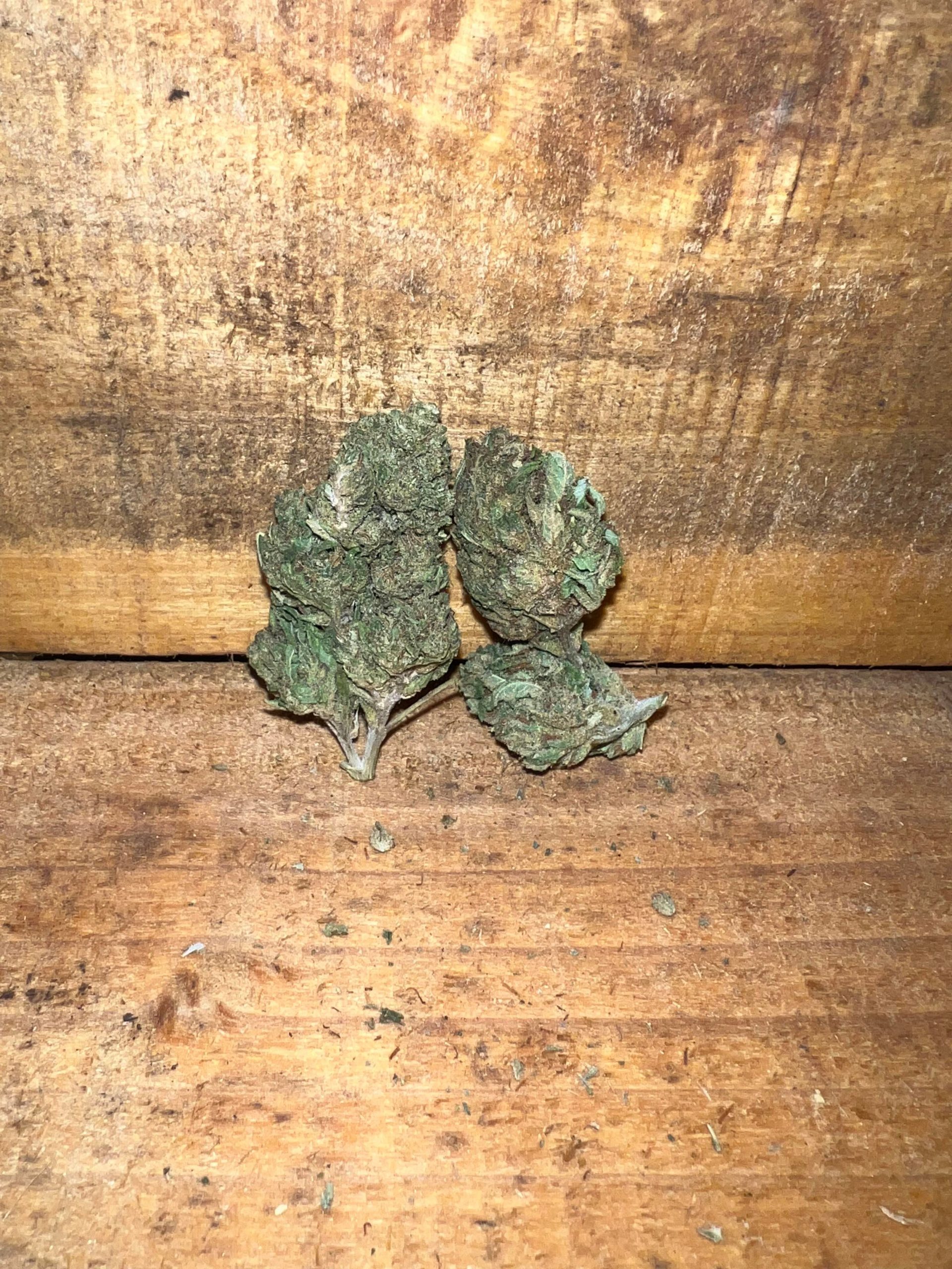 Fleurs de CBD - Cheese