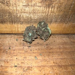 Fleurs de cbd - Mimosa