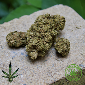 FLEURS DE CBD / CBG ALPINE WHITE GREENHOUSE