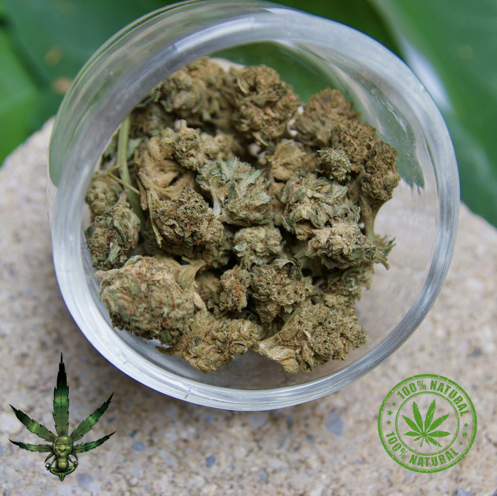 FLEURS DE CBD – POP CORN MIX GREENHOUSE