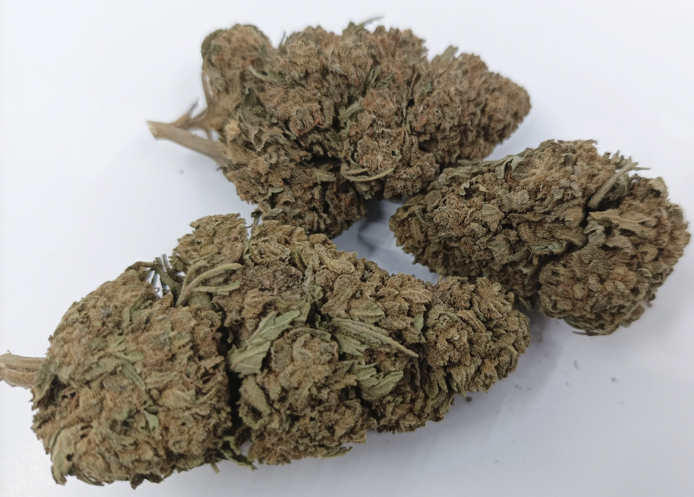 Fleurs de CBD - Red Serre Green House