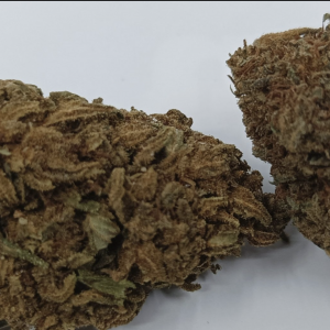 Fleurs de CBD - SUPER SKUNK