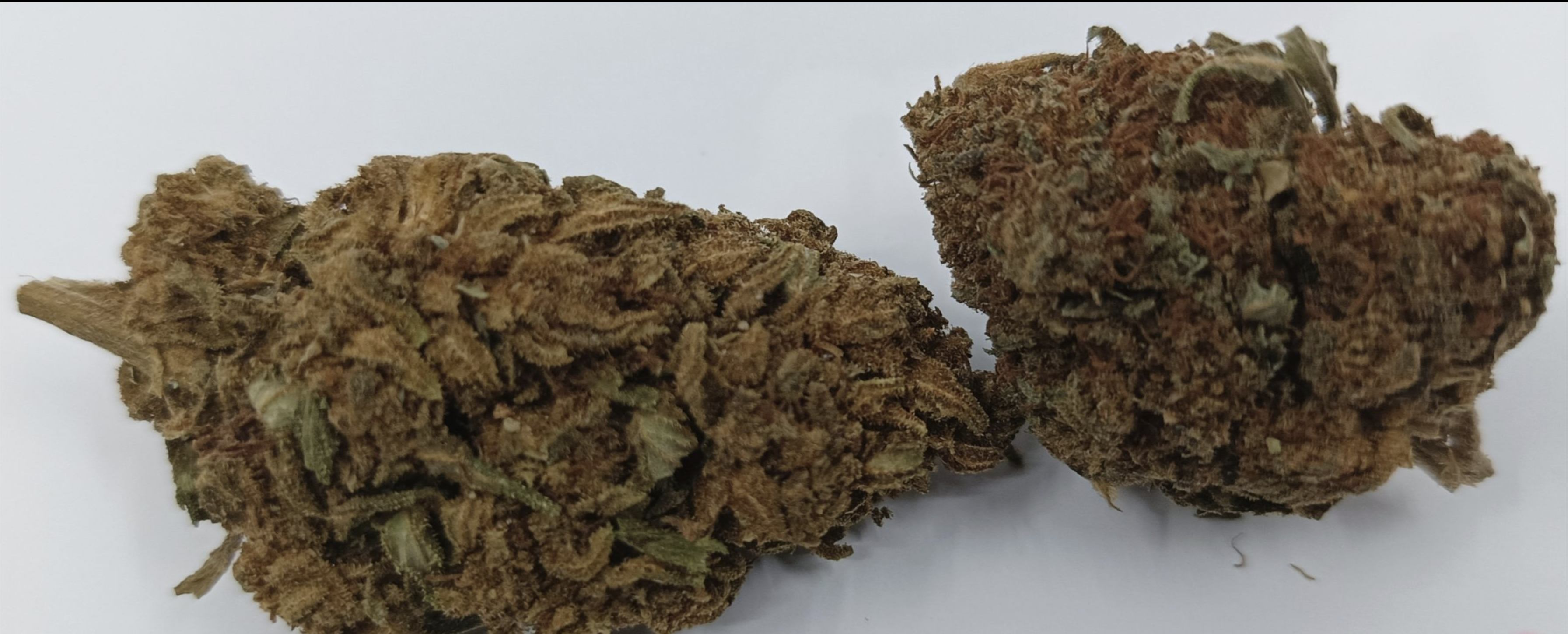 Fleurs de CBD - SUPER SKUNK