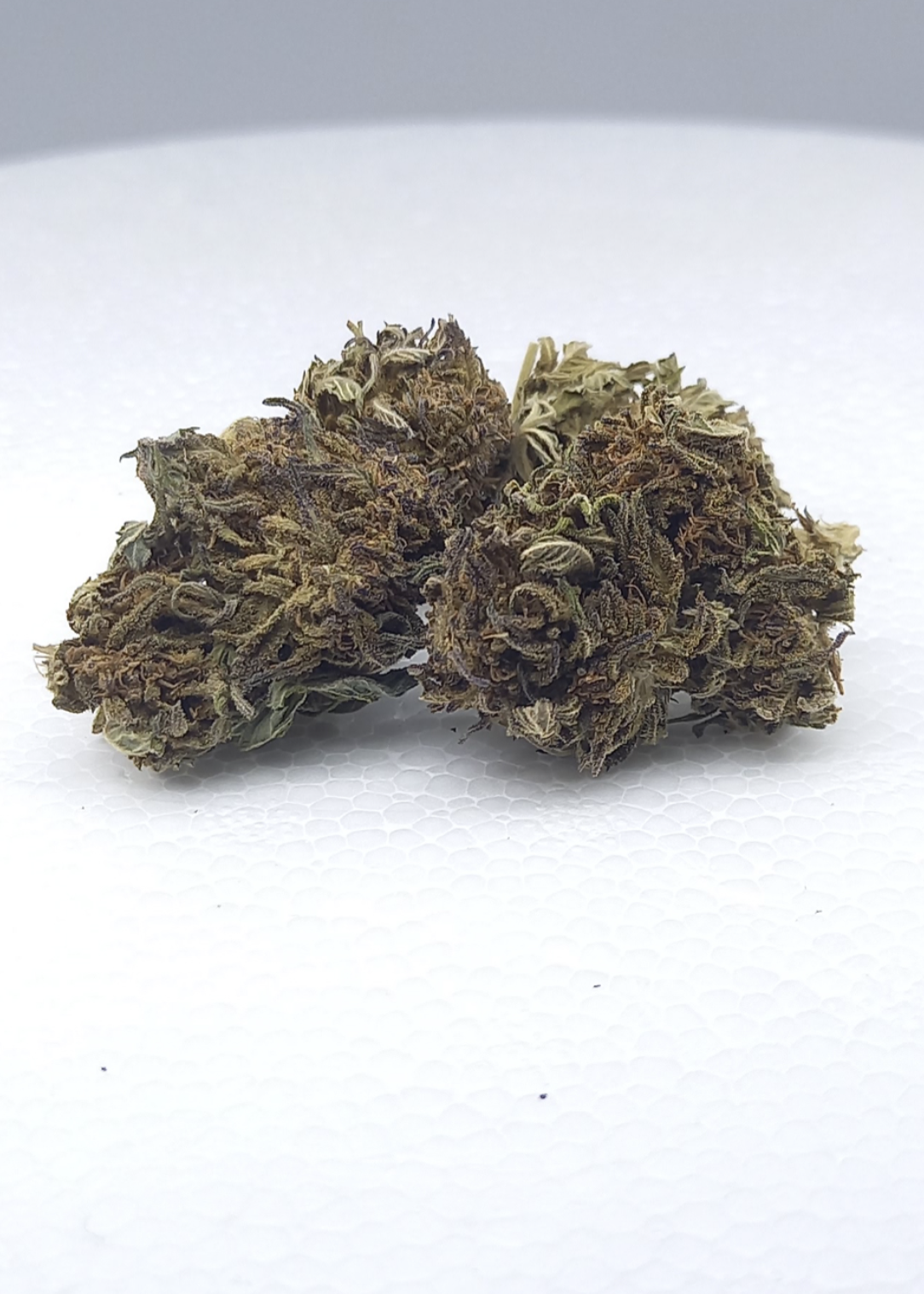 Fleurs de CBD - White Widow