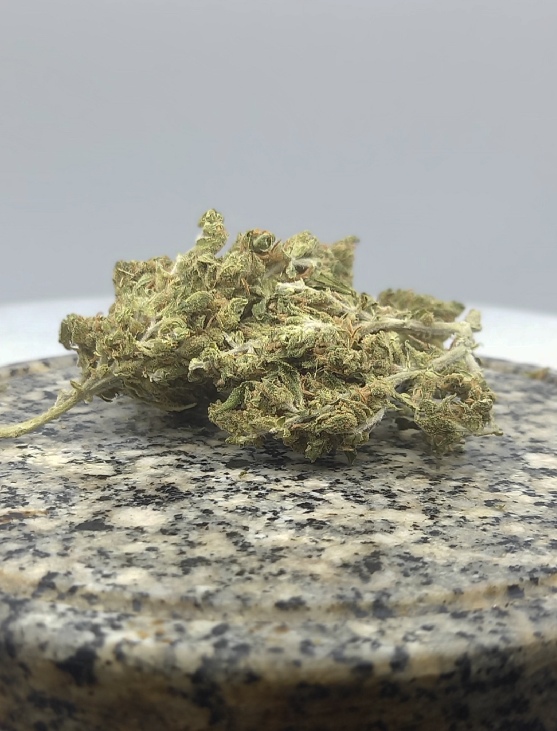 Fleurs de CBD - Mandarine Serre Medium Bud