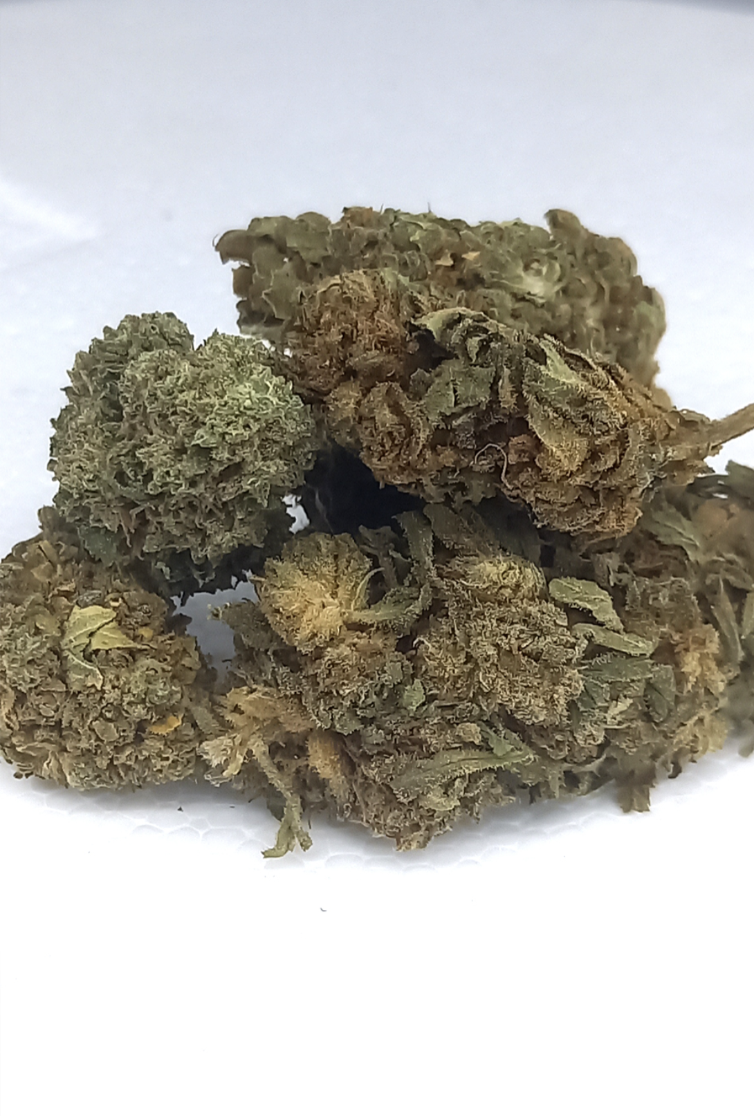 Fleurs de CBD - Mix Fleurs Mélange Serre