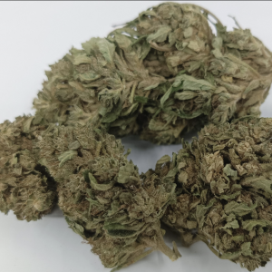Fleurs de CBD – CBG Haze