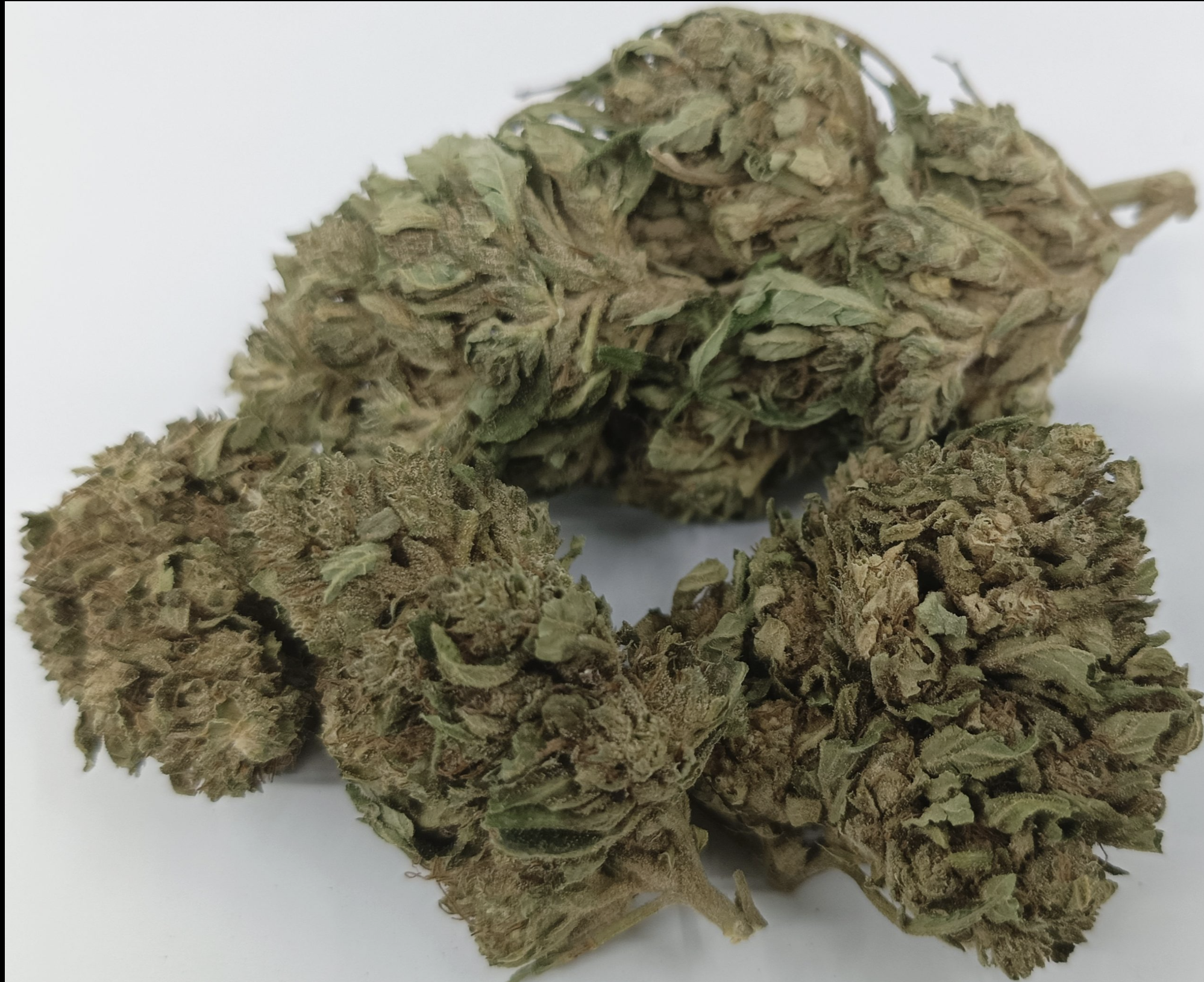 Fleurs de CBD – CBG Haze