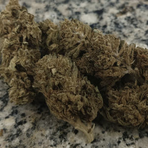 Fleurs de CBD - Limoncello Serre