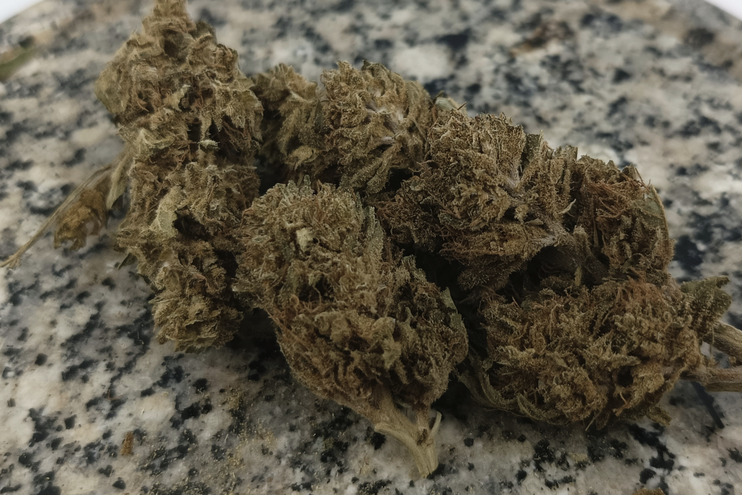 Fleurs de CBD - Limoncello Serre