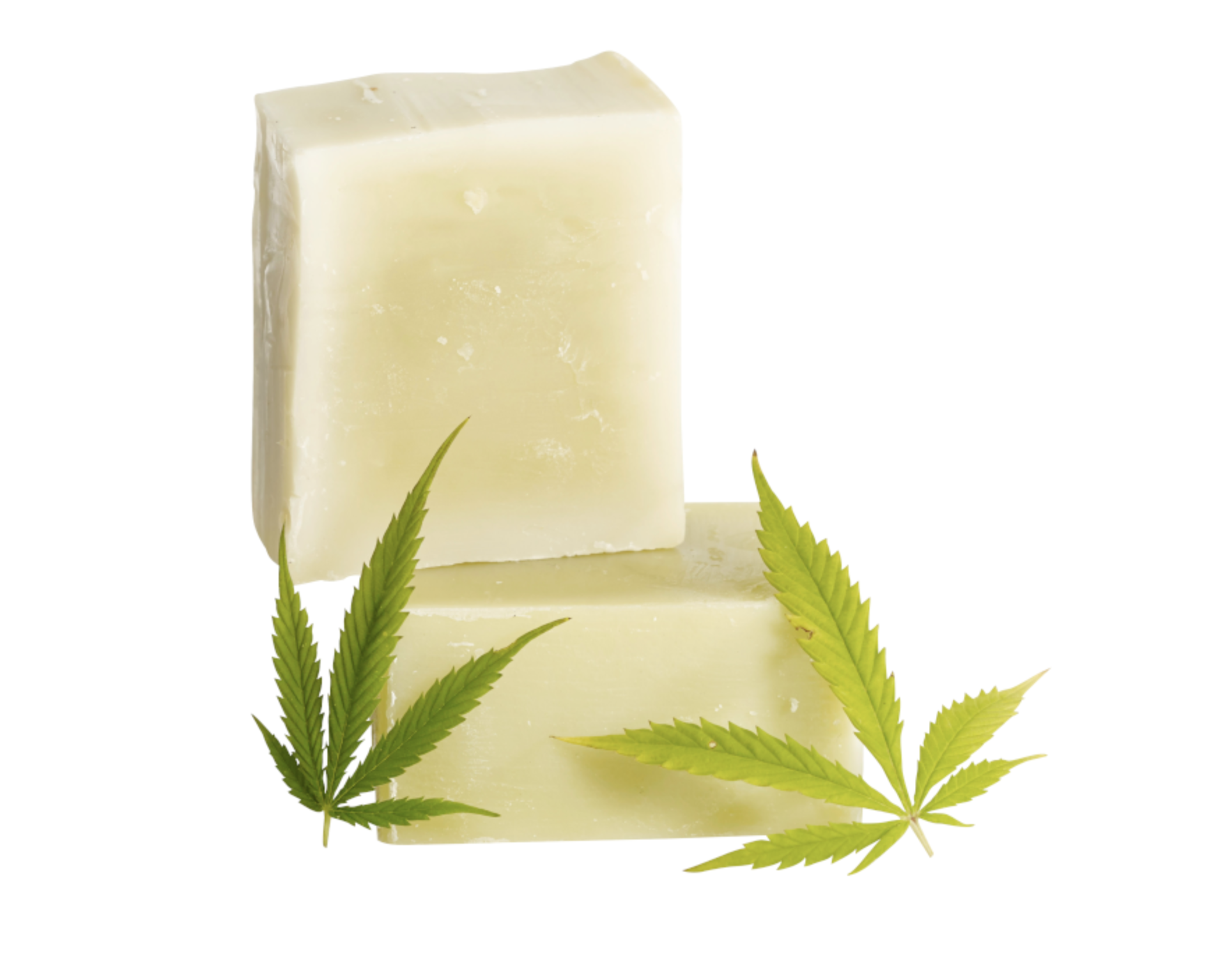 Le Savon bio à l’huile de chanvre CAN’OPEE